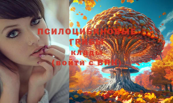 гидра Карталы