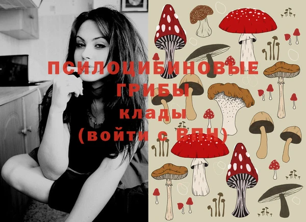 ГАЛЛЮЦИНОГЕННЫЕ ГРИБЫ Кинешма
