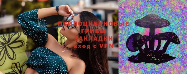 гидра Карталы