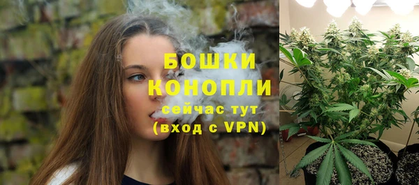 хмурый Карпинск