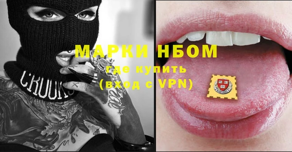 хмурый Карпинск