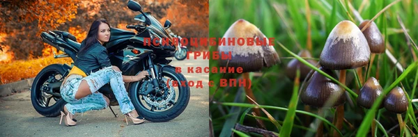 ГАЛЛЮЦИНОГЕННЫЕ ГРИБЫ Кинешма